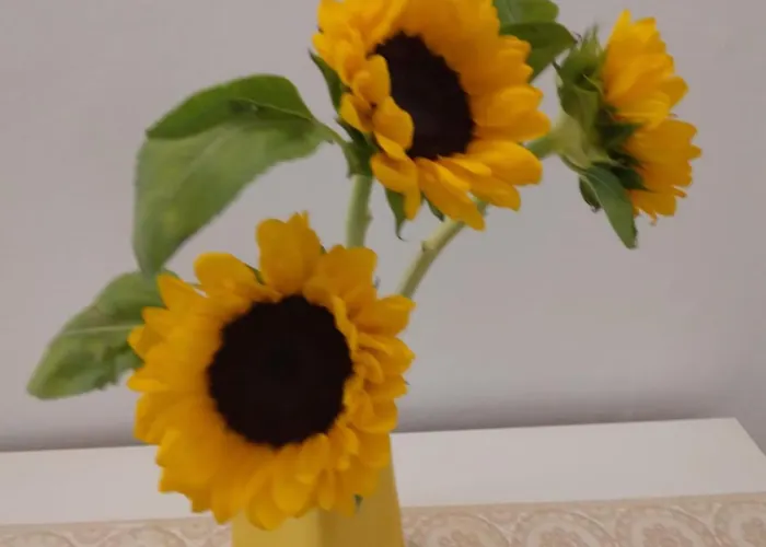 Casa Martini شقة ليدو ديلي ايستينسي